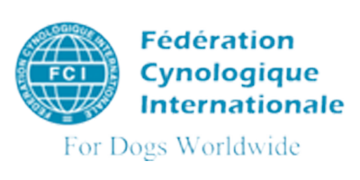 Chinese Crested Dogs - Healing Power Chinese Crested Dogs - Healing Power